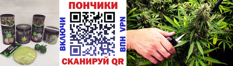 Canna-Cookies марихуана  Кстово 