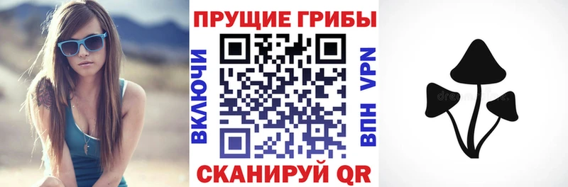 Псилоцибиновые грибы GOLDEN TEACHER  mega   Кстово  как найти закладки 